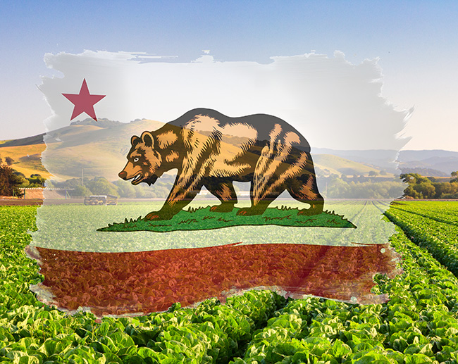 2026-27 Governor's Budget Breakdown