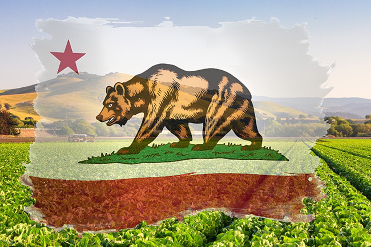 2026-27 Governor's Budget Breakdown