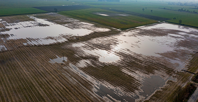 California Declares State of Emergency Ahead of El Niño
