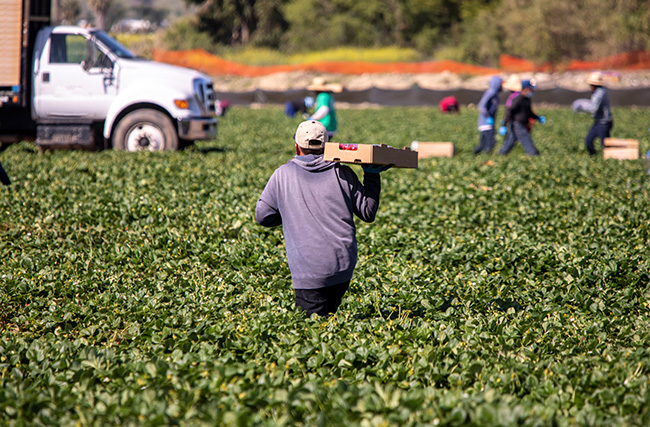 Labor, Technology and Regulatory Bills Move to Appropriations Suspense