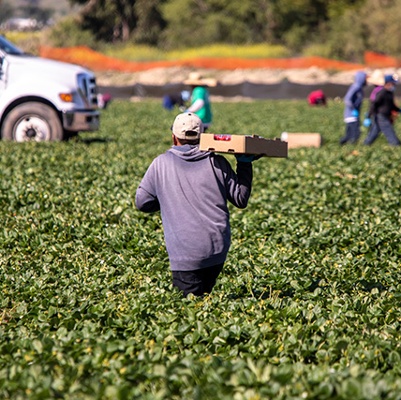 Labor, Technology and Regulatory Bills Move to Appropriations Suspense