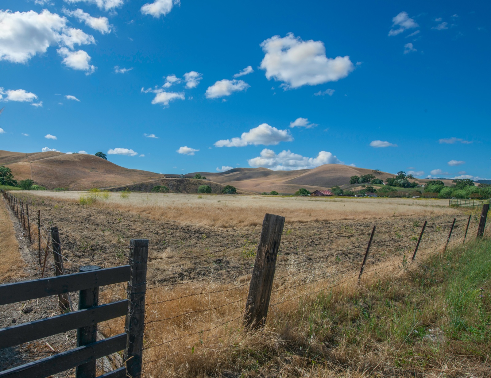 Irrigated Lands Regulatory Program