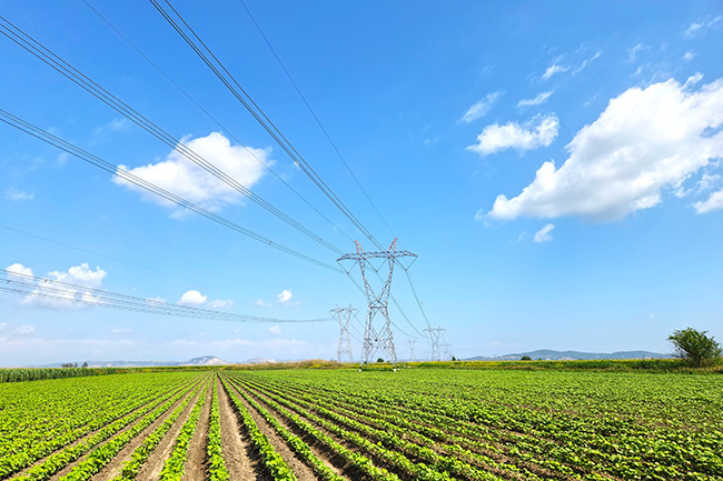 California Farm Bureau Opposes Expansion of CCA Authority into Transmission AB 2396
