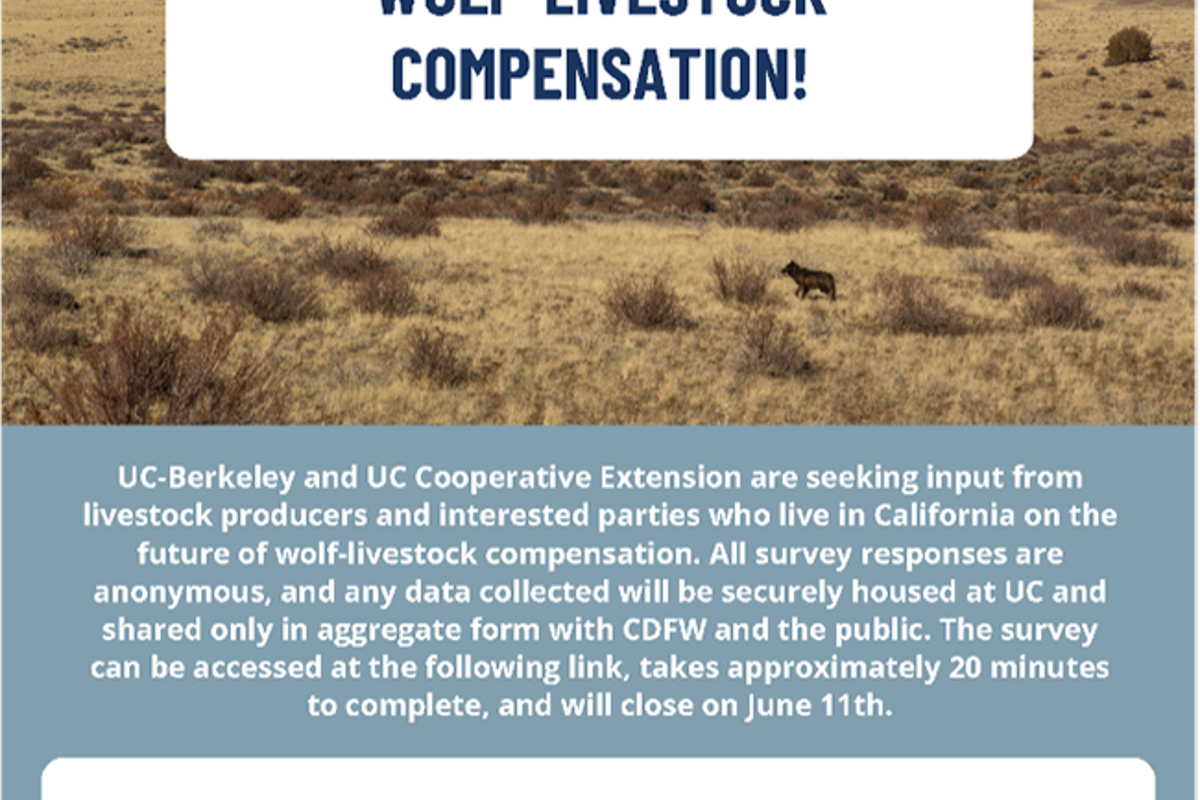 Member Engagement Needed - Perspectives on CDFW's Wolf-Livestock Compensation Program Survey