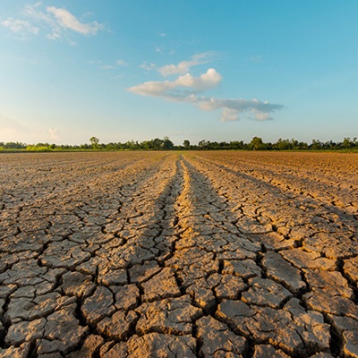 USDA Announces Enhancements to Farm Service Agency Disaster and Commodity Loan Programs