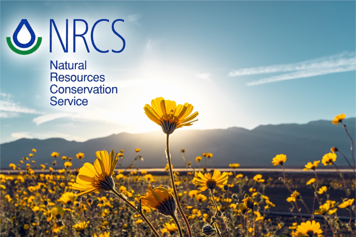 Tricolored Blackbird RCPP Funding Scenario Shortfall