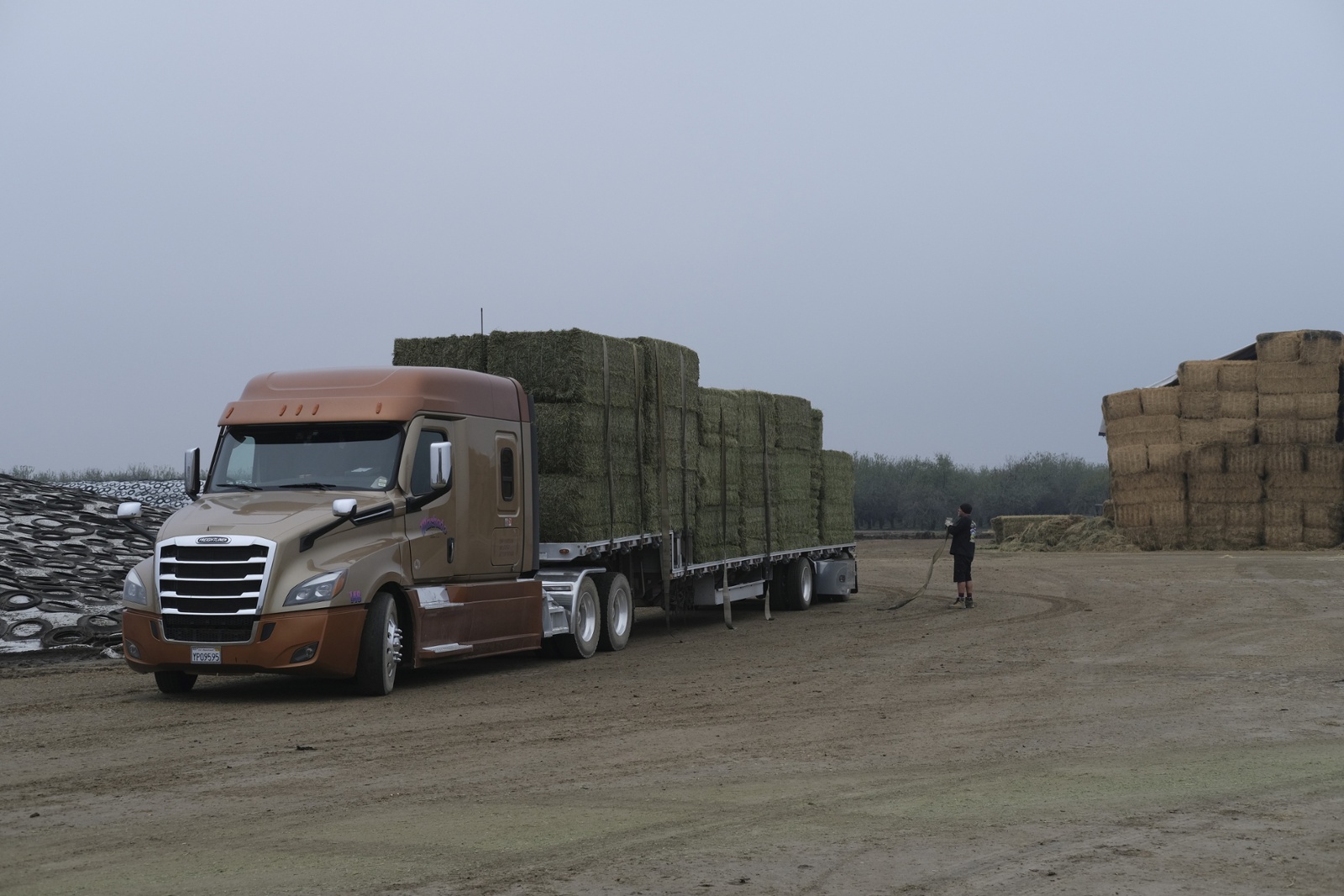 Governor Signs AB 525 to Extend Agricultural Vehicle BIT Exemption