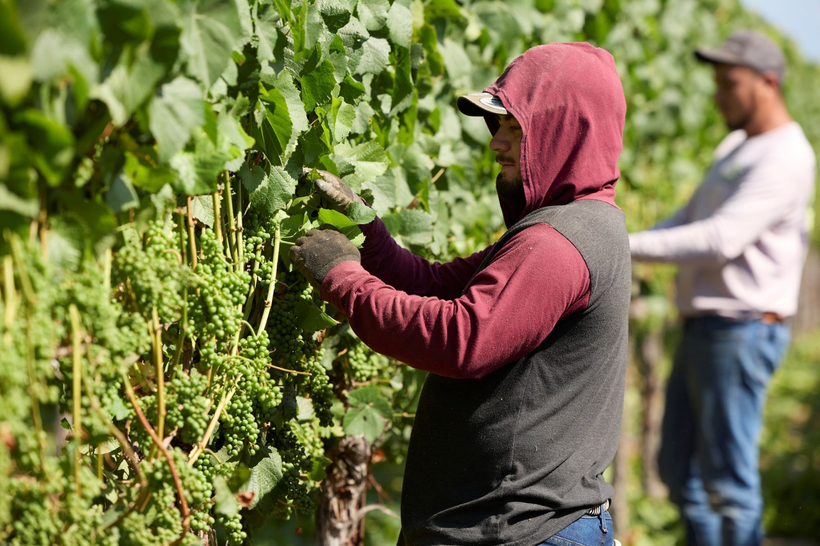 Employment Bills of Concern Move Ahead of House-of-Origin Deadlines