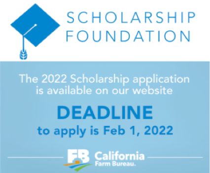 Scholarship Foundation - CFB