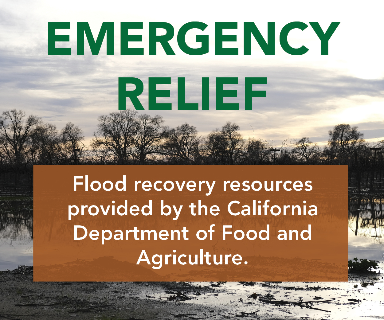 Review available flood recovery resources