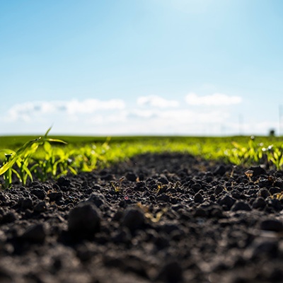 AFBF Member Survey on Fertilizer – Deadline Today