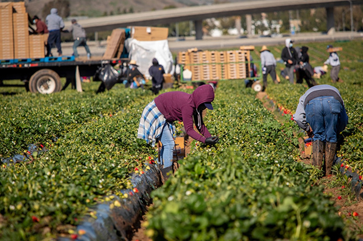 Statewide Agricultural Employee Minimum Wage