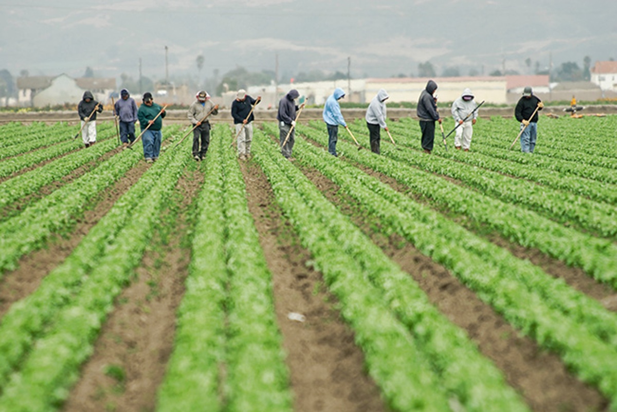 AB 2646 (Krell) – Agricultural Worker Minimum Wage Increase (Oppose)
