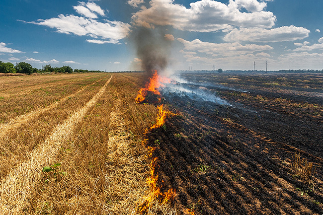USDA Extends Disaster Relief Application Deadline, New Flexibilities for 2023 and 2024 Quality Losses