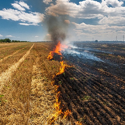 USDA Extends Disaster Relief Application Deadline, New Flexibilities for 2023 and 2024 Quality Losses