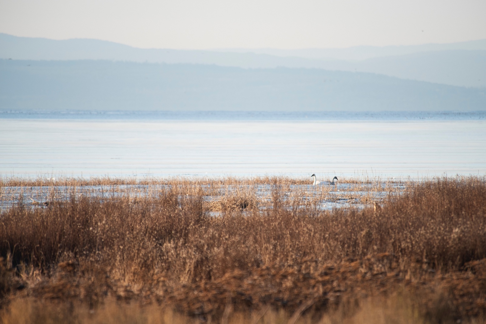 Unimpaired Flow Standards (San Joaquin and Sacramento rivers)