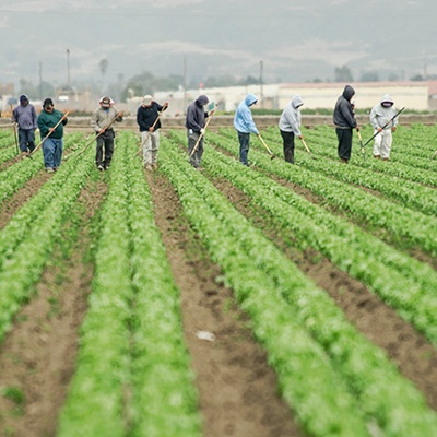 Support the Securing Agriculture's Workforce Act