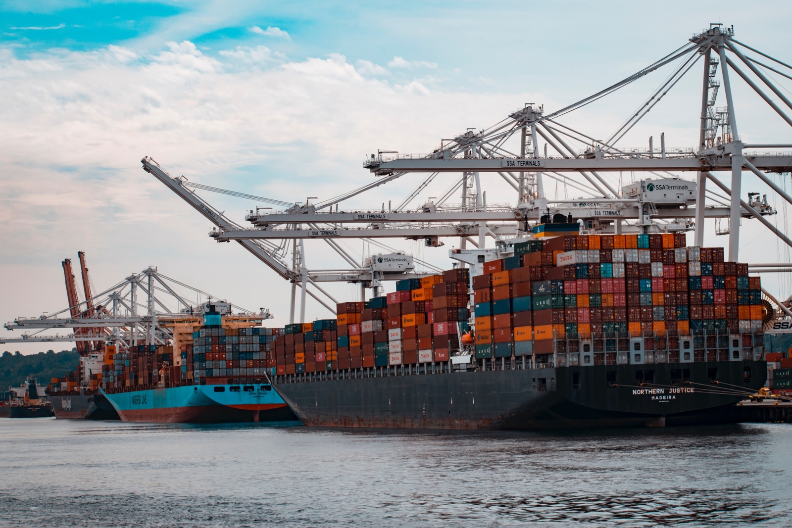 Trans-pacific Partnership