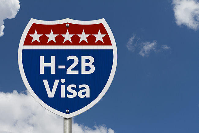 New Guidance Could Open H-2A Program to Dairy Industry
