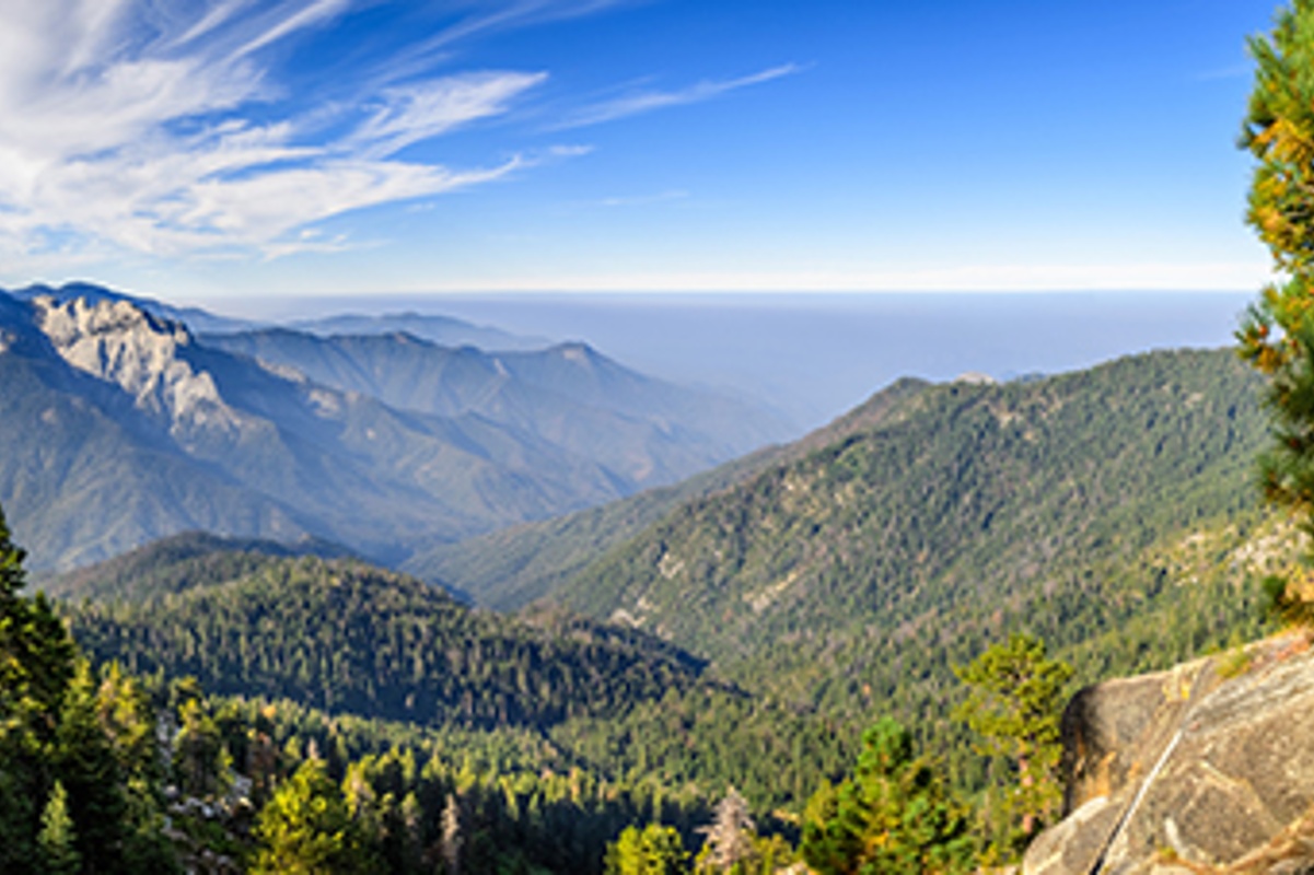 Concerns Raised with AB 2494 and Demonstration Forest Management