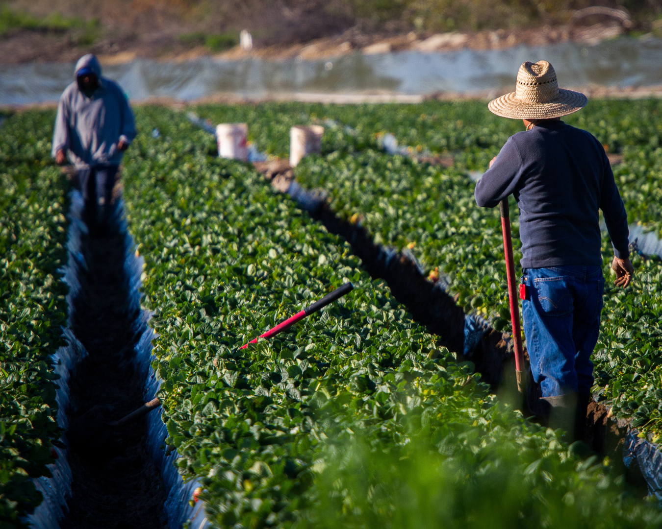 AB 1362 Advances Despite Concerns Over Redundancy
