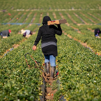 H-2A Worker Minimum Wage Bill Passes