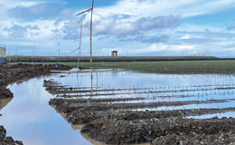 Reminder: California FSA Disaster Webinar March 10