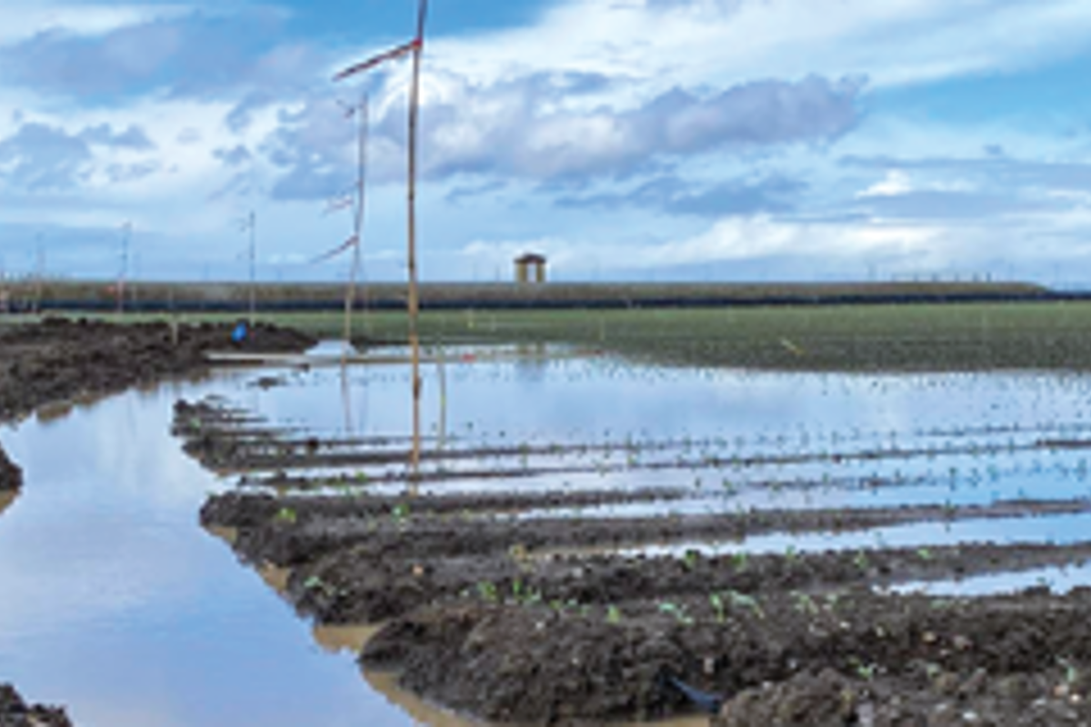 Reminder: California FSA Disaster Webinar March 10