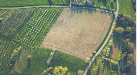 Sonoma County farmer Sasaki earns award for Distinguished Service