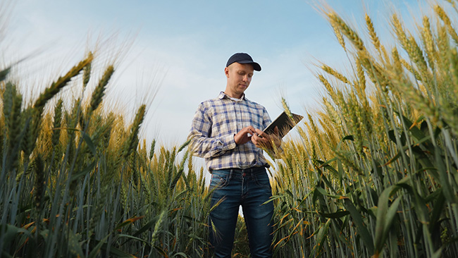 Farm Bureau-Opposed Employment Technology Bills Advance