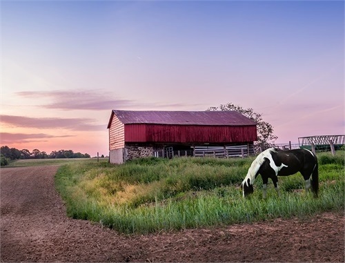 Yuba County farmer wins Discussion Meet